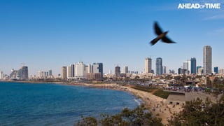 © 2014 Ahead of Time GmbHAhead of Time 7
 