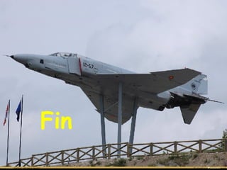 Fin 