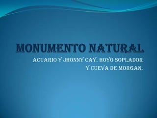Acuario Y Jhonny cay, Hoyo Soplador
Y Cueva De Morgan.
 