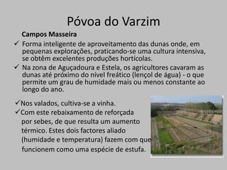 Inaugurada em 28 de Dezembro de 1807, sofreu, entre 1908-10, profundas obras de ampliação e decoração orientadas pelo etnólogo Rocha Peixoto e pelo pintor belga Joseph Bialman: torre e azulejamento interior e exterior do edifício.Póvoa do VarzimCividade de TerrosoSitua-se numa elevação com cerca de 153 m de altitude, onde se regista um longo período de ocupação (800/700 a.C. - séc. III d.C. ) e que forneceu já importantes elementos de estudo para a história dos povos castrejos e da implantação romana. 