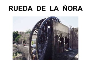 RUEDA DE LA ÑORA