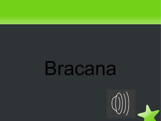 Bracana

        
 