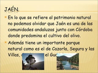 En lo que se refiere al patrimonio natural no podemos olvidar que Jaén es una de las comunidades andaluzas junto con Córdoba donde predomina el cultivo del olivo. Además tiene un importante parque natural como es el de Cazorla, Segura y las Villas, donde nace el Guadalquivir. 
