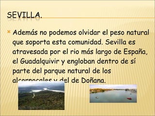 Además no podemos olvidar el peso natural que soporta esta comunidad. Sevilla es atravesada por el rio más largo de España, el Guadalquivir y engloban dentro de sí parte del parque natural de los alcornocales y del de Doñana.  