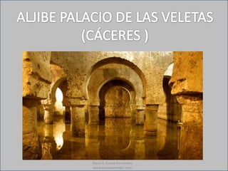 María S. García Fernández
www.tumeaprendes.com
 