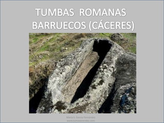 María S. García Fernández
www.tumeaprendes.com
 