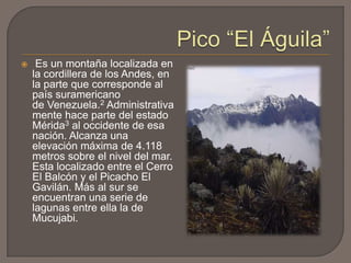     Es un montaña localizada en
    la cordillera de los Andes, en
    la parte que corresponde al
    país suramericano
    de Venezuela.2 Administrativa
    mente hace parte del estado
    Mérida3 al occidente de esa
    nación. Alcanza una
    elevación máxima de 4.118
    metros sobre el nivel del mar.
    Esta localizado entre el Cerro
    El Balcón y el Picacho El
    Gavilán. Más al sur se
    encuentran una serie de
    lagunas entre ella la de
    Mucujabi.
 