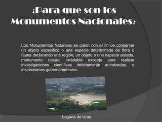 ¿Para que son los
Monumentos Nacionales?
Los Monumentos Naturales se crean con el fin de conservar
un objeto específico o una especie determinada de flora o
fauna declarando una región, un objeto o una especie aislada,
monumento natural inviolable excepto para realizar
investigaciones científicas debidamente autorizadas, o
inspecciones gubernamentales.
Laguna de Urao
 