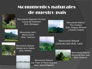Monumentos naturales
de nuestro país
Monumento Alejandro Humbolt
Cueva del Guácharo
(Edo. Monagas)
Monumento cerro
María Lionza
(Edo. Yaracuy)
Monumento Natural
Pico Codazzi
(Edo. Aragua, Miranda
y Distrito Federa)
Monumento Natural
Meseta de la Galera
(Edo. Mérida)
Monumento Natural
Loma de León (Edo. Lara)
Monumento Natural
Las Tetas de María Guevara
(Edo. Nueva Esparta)
Monumento Natural
Morros de San Juan
(Edo. Guárico)
 