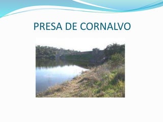 PRESA DE CORNALVO
 
