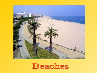 Beaches 