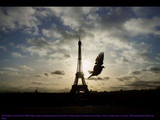 A bird flies in front of the Eiffel Tower ,which remained closed on the first of three days of national mourning, in Paris, Sunday, Nov. 15, 2015. (AP Photo/Daniel Ochoa de
Olza)
 