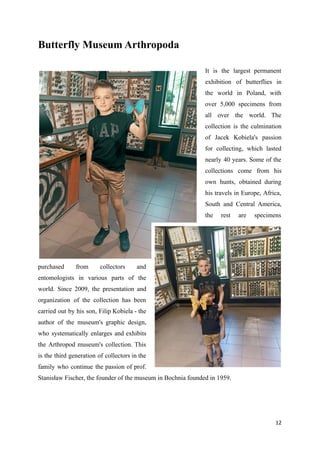 Butterfly Museum Arthropoda
It is the largest permanent
exhibition of butterflies in
the world in Poland, with
over 5,000 specimens from
all over the world. The
collection is the culmination
of Jacek Kobiela's passion
for collecting, which lasted
nearly 40 years. Some of the
collections come from his
own hunts, obtained during
his travels in Europe, Africa,
South and Central America,
the rest are specimens
purchased from collectors and
entomologists in various parts of the
world. Since 2009, the presentation and
organization of the collection has been
carried out by his son, Filip Kobiela - the
author of the museum's graphic design,
who systematically enlarges and exhibits
the Arthropod museum's collection. This
is the third generation of collectors in the
family who continue the passion of prof.
Stanisław Fischer, the founder of the museum in Bochnia founded in 1959.
12
 