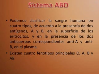 • Podemos clasificar la sangre humana en
  cuatro tipos, de acuerdo a la presencia de dos
  antígenos, A y B, en la superficie de los
  eritrocitos, y en la presencia de los dos
  anticuerpos correspondientes anti-A y anti-
  B, en el plasma.
• Existen cuatro fenotipos principales O, A, B y
  AB
 