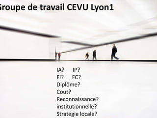 Groupe de travail CEVU Lyon1
IA? IP?
FI? FC?
Diplôme?
Cout?
Reconnaissance?
institutionnelle?
Stratégie locale?
 