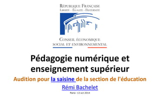 Pédagogie numérique et enseignement supérieur 
Audition pour la saisine de la section de l'éducation 
Rémi Bachelet 
Paris–13 oct2014  