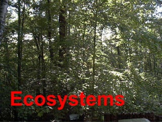 Ecosystems
 