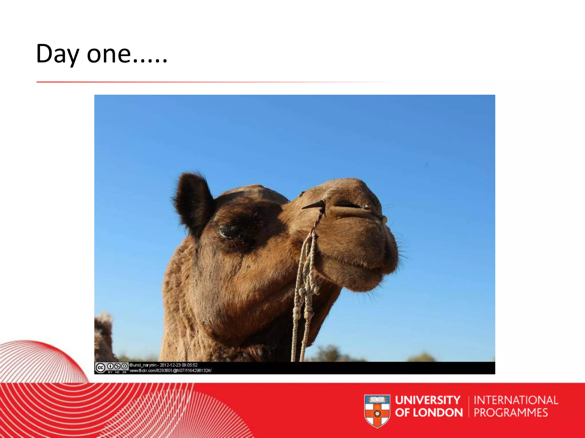 Day one.....

Worldwide Access | Opportunity | International Standards

 