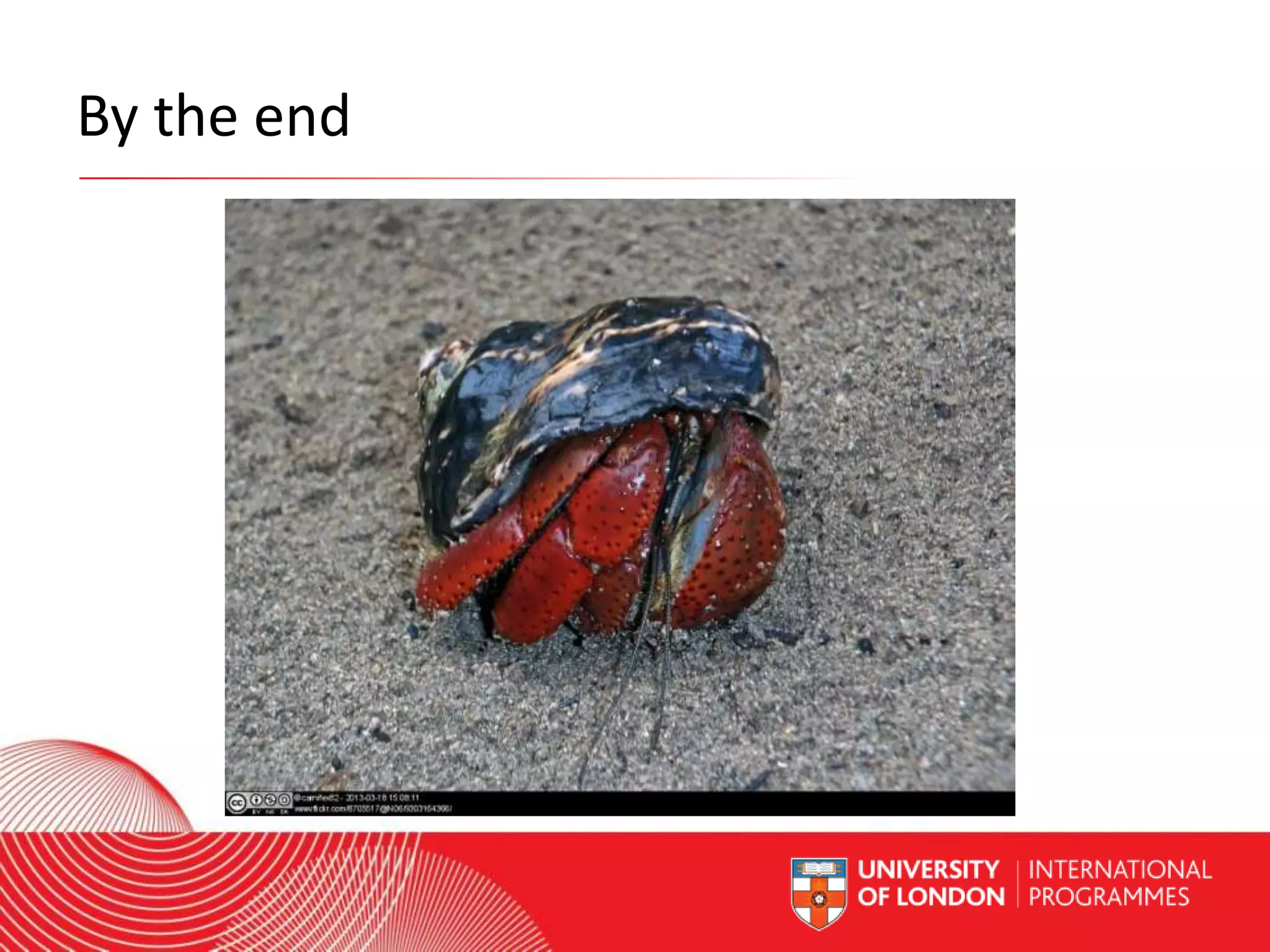 By the end

Worldwide Access | Opportunity | International Standards

 