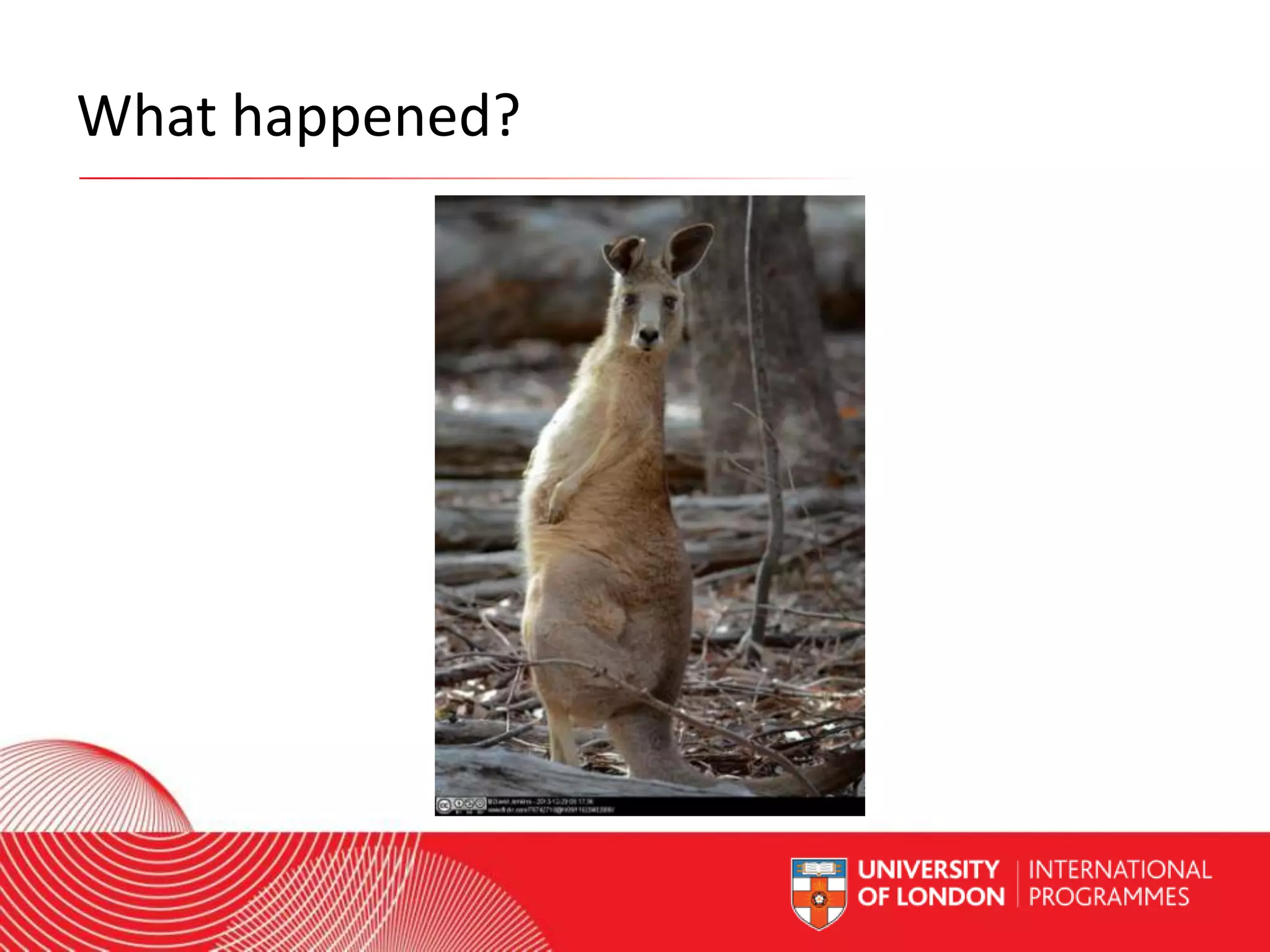 What happened?

Worldwide Access | Opportunity | International Standards

 