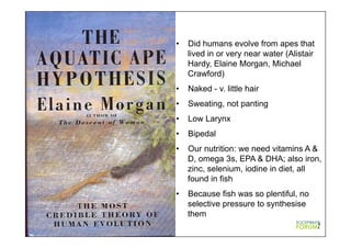 •  Did humans evolve from apes that
lived in or very near water (Alistair
Hardy, Elaine Morgan, Michael
Crawford)
•  Naked - v. little hair
•  Sweating, not panting
•  Low Larynx
•  Bipedal
•  Our nutrition: we need vitamins A &
D, omega 3s, EPA & DHA; also iron,
zinc, selenium, iodine in diet, all
found in fish
•  Because fish was so plentiful, no
selective pressure to synthesise
them
 