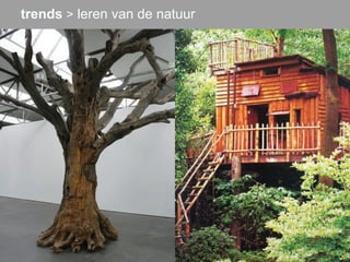 trends > leren van de natuur
 