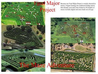 Final Major
Project
Because my Final Major Project is mainly directed at
mazes, I began looking into traditional hedge mazes
that already exist and I also looked at 3D models of
mazes includes digital and ones made out of Lego.
The Maze Adventure
 