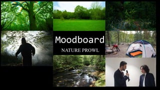 Moodboard
NATURE PROWL
 