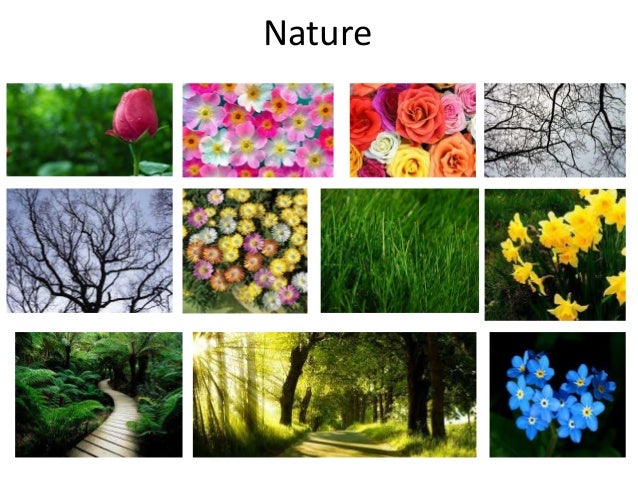 examples for photography theme of board Mood ideas