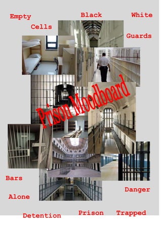 Empty             Black       White
      Cells
                              Guards




Bars
                             Danger
Alone

       Detention   Prison   Trapped
 