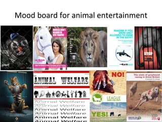 Mood board for animal entertainment
 