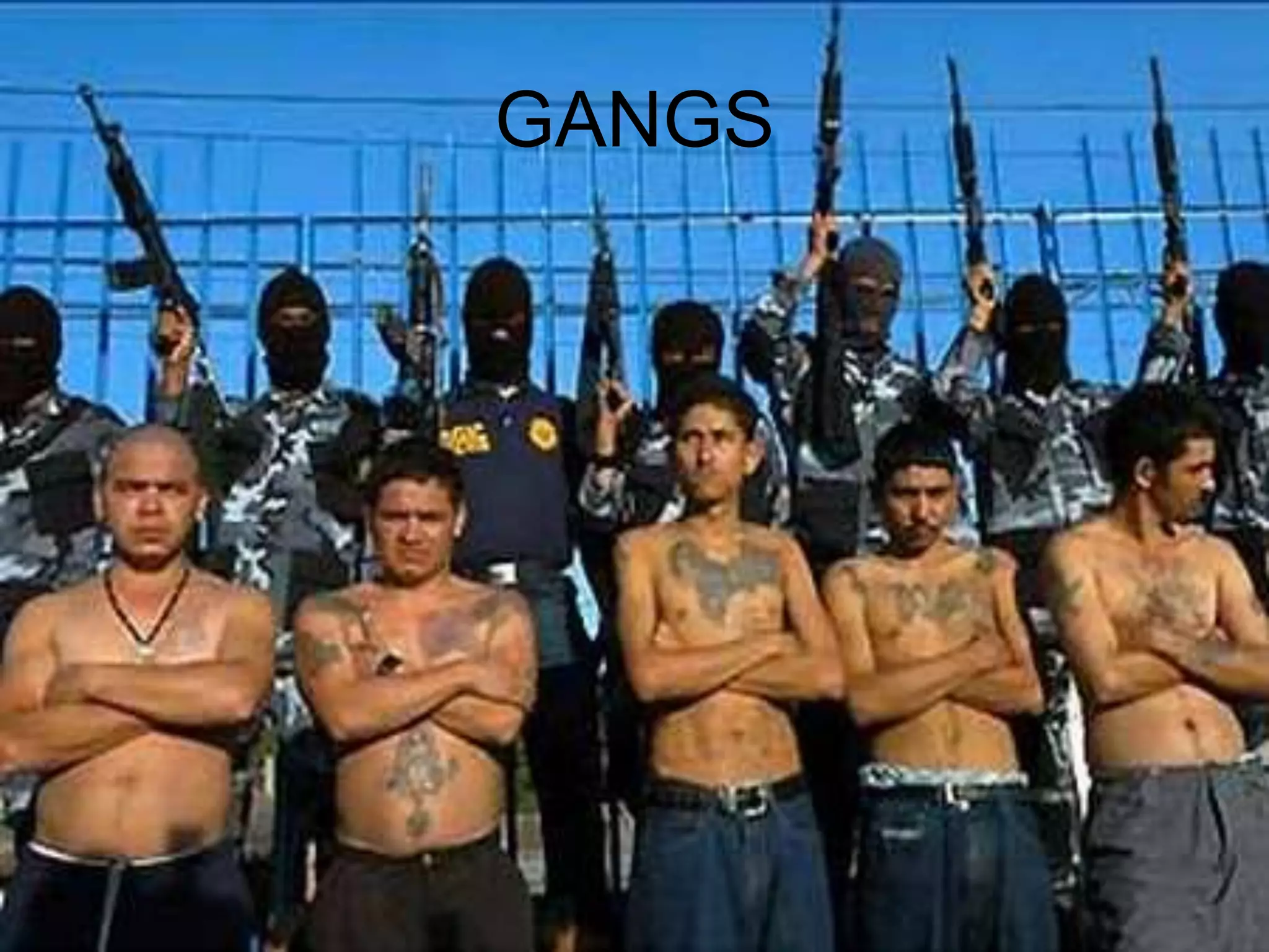GANGS
 