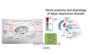 TONY SCARIA 2010
KMC
 