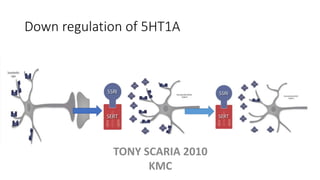 Down regulation of 5HT1A
TONY SCARIA 2010
KMC
 