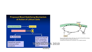 TONY SCARIA 2010
KMC
 