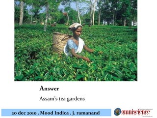 A nswer Assam’s tea gardens 