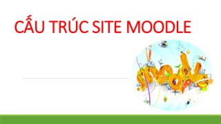 CẤU TRÚC SITE MOODLE 
 