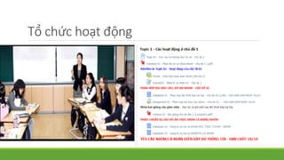 Tổ chức hoạt động 
 