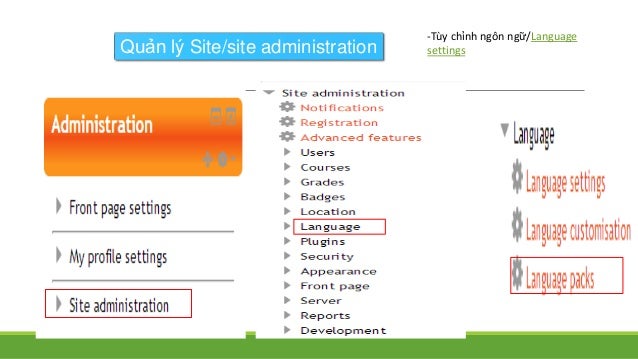 Moodle Moodle