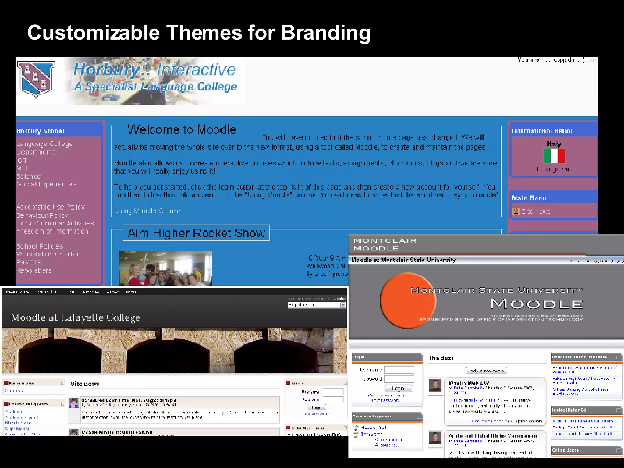 Customizable Themes for Branding 