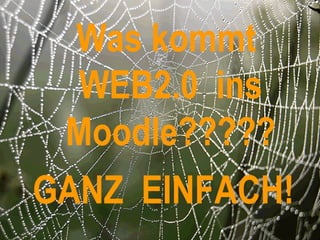 Was kommt  WEB2.0  ins Moodle????? GANZ  EINFACH! 