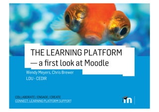 THE LEARNING PLATFORM
  — a first look at Moodle
Wendy Meyers, Chris Brewer
LDU - CEDIR
 