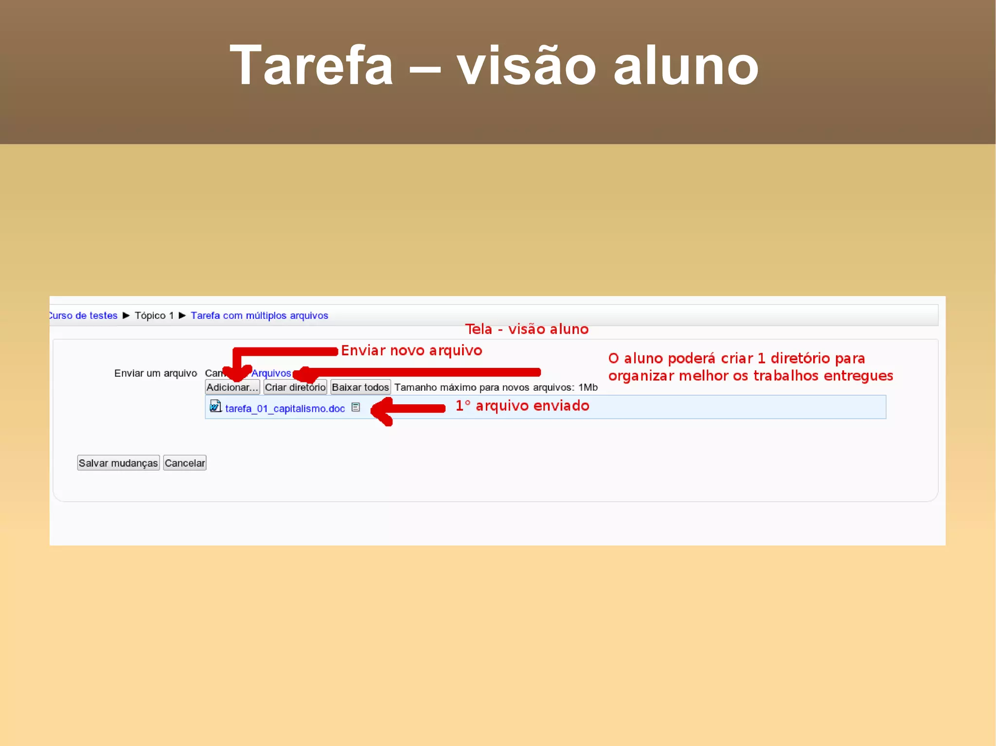 Tarefa – visão aluno 
