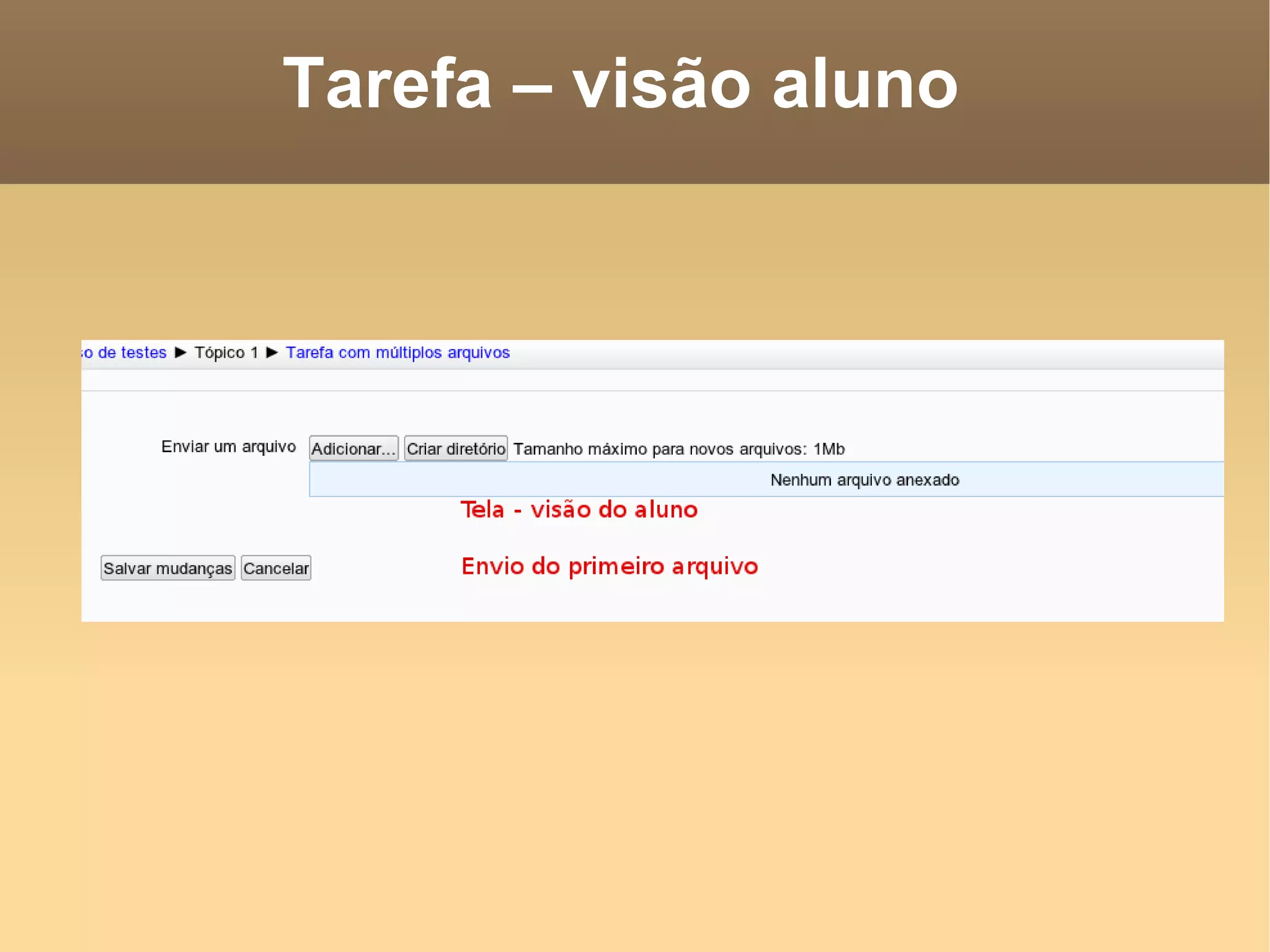 Tarefa – visão aluno  