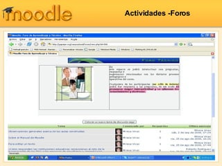 Actividades -Foros 