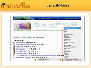 Las actividades 