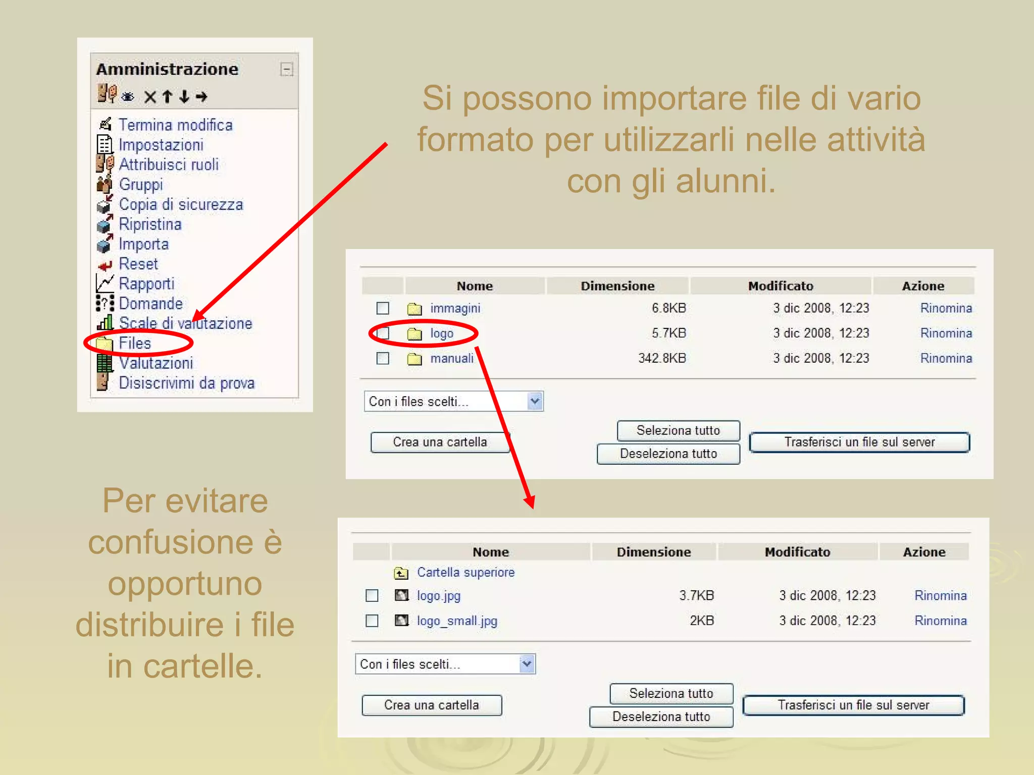 Si possono importare file di vario formato per utilizzarli nelle attività con gli alunni. Per evitare confusione è opportuno distribuire i file in cartelle. 