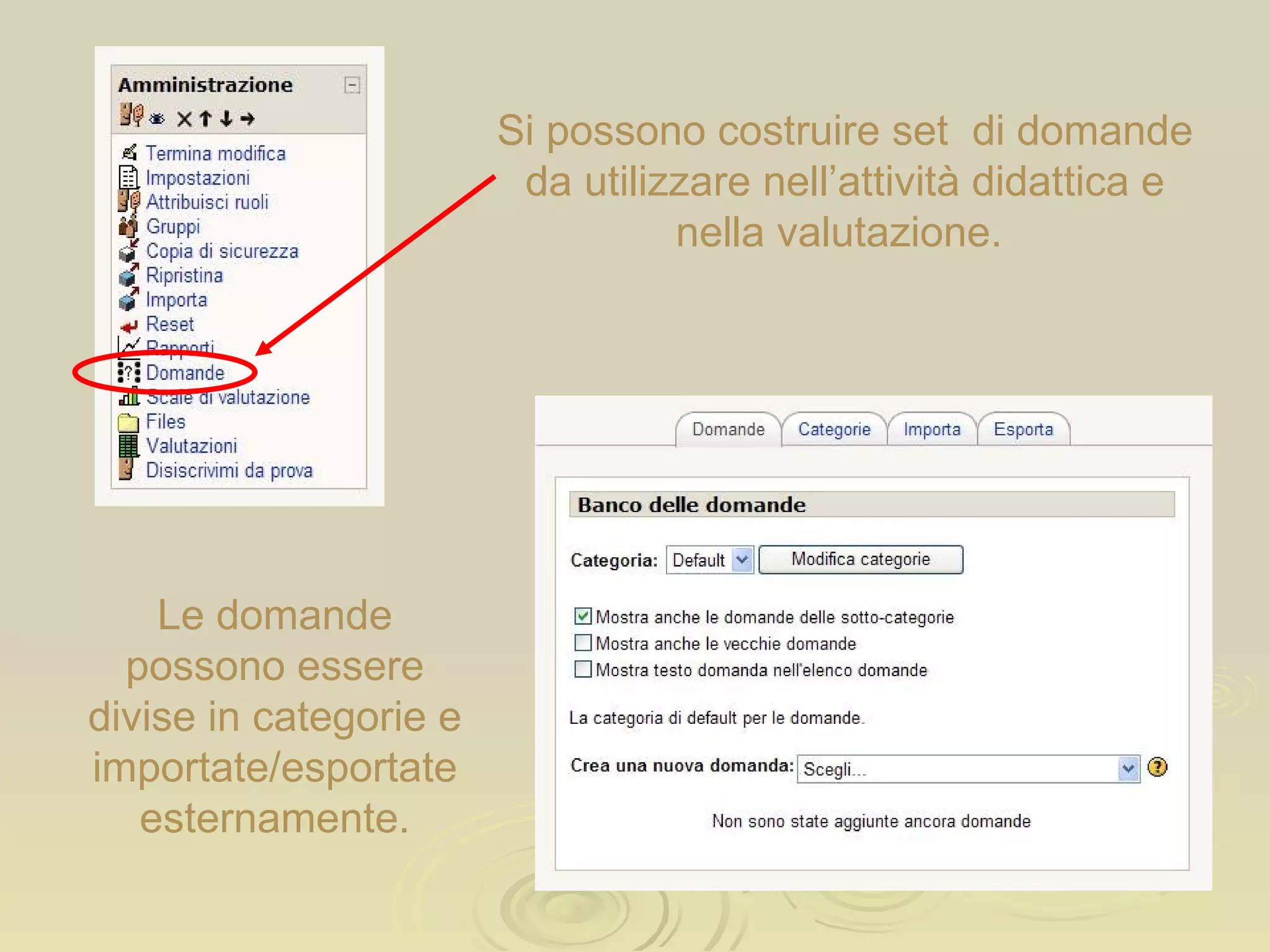 Si possono costruire set  di domande da utilizzare nell’attività didattica e nella valutazione.  Le domande possono essere divise in categorie e importate/esportate esternamente. 