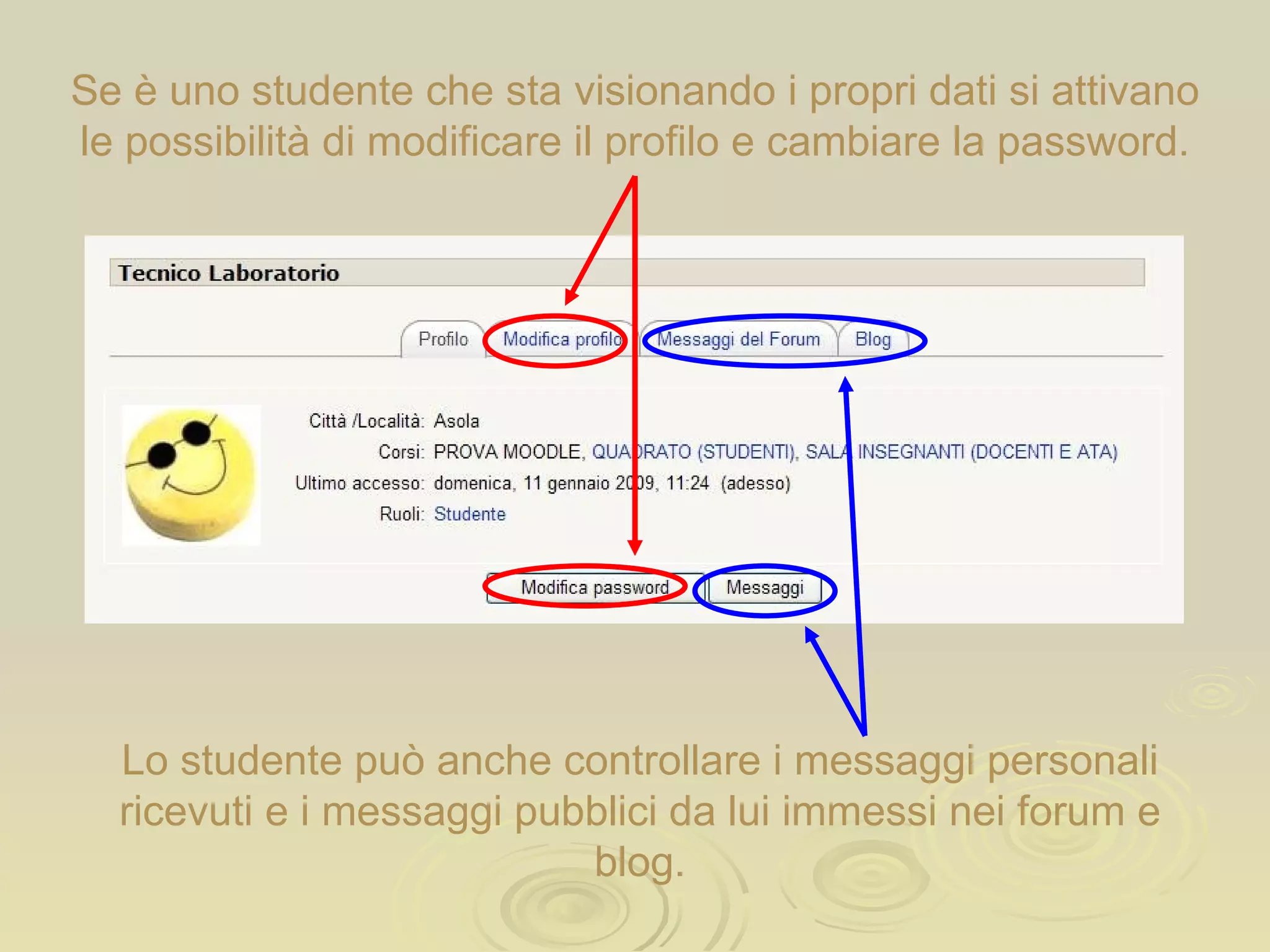 Se è uno studente che sta visionando i propri dati si attivano le possibilità di modificare il profilo e cambiare la password. Lo studente può anche controllare i messaggi personali ricevuti e i messaggi pubblici da lui immessi nei forum e blog. 