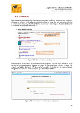 La plataforma educativa Moodle
                                                                     Creación de Aulas Virtuales
                                                                   Recursos y módulos transmisivos



    6.5. Etiquetas.

Las Etiquetas son pequeños fragmentos de texto, gráficos o elementos multime-
dia que se colocan en la página principal del curso para dar una estructura lógica
y jerarquizar el curso, identificando las secciones y los bloques de actividades, tal
y como se muestra en la Figura 74.




                                                   Título de la sección o tema con
                                                   una pequeña descripción




                                                    Etiqueta con texto e imagen




                                  Etiqueta para identificar un bloque
                                  con actividades de evaluación




                      Figura 74: Ejemplo de uso de Etiquetas.

Las etiquetas se agregan al curso igual que cualquier otro recurso, es decir, utili-
zando la lista desplegable Agregar recurso. El formulario de edición (Figura 75)
muestra el editor de texto HTML para la inserción de texto con formatos, tablas,
imágenes o cualquier otro elemento que permita el editor.




                  Figura 75: Formulario de edición de una Etiqueta.


                                                                                               84
 